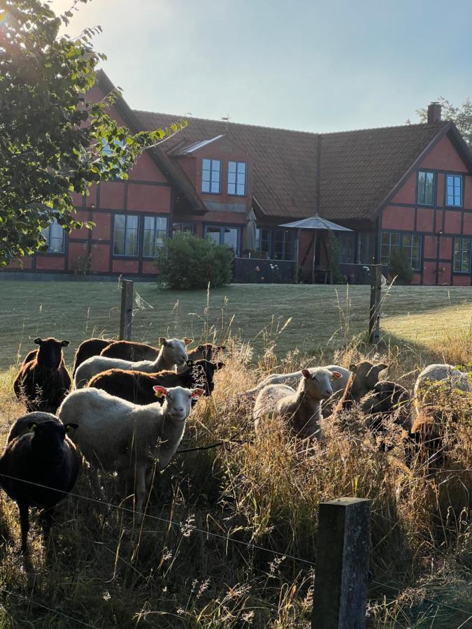 Villa Hasselbacken Gärsnäs Zewnętrze zdjęcie